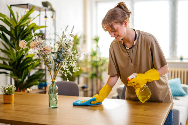 Experience the ultimate in cleanliness and convenience with So Fresh So Clean TX - austin house cleaning company