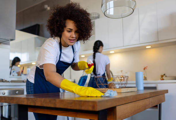 Professional team sanitizing kitchen surfaces during regular recurring cleaning session.