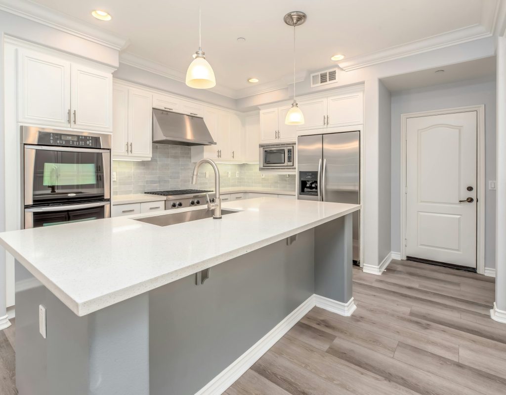 pexels itsterrymag 3623785 (1)